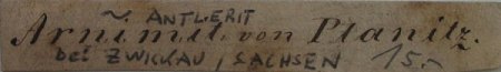 Galli-Etikett (Arnimit Planitz).JPG