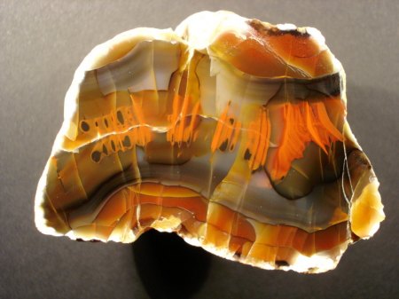 Eigene Funde 085.JPG