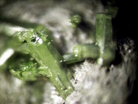 _Pyromorphit xx_MM_Grube Viktorsfeld_Burbach_Arnsberg_Siegerland_NRW_Peter_2.jpg