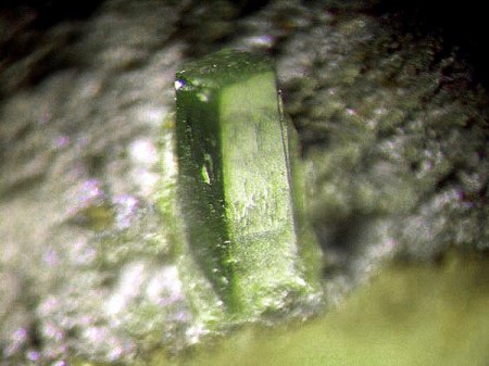 _Pyromorphit xx_MM_Grube Viktorsfeld_Burbach_Arnsberg_Siegerland_NRW_Peter_3.jpg