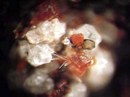Nephelin_Melilith_u.a._Liley_Üdersdorf_Eifel_3_Peter.JPG