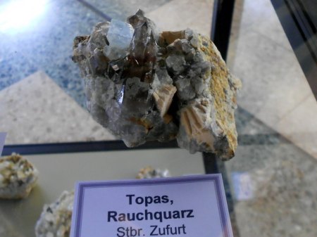 Topas Zufurt Sonderschau MarktleuthenRSCN9492.JPG