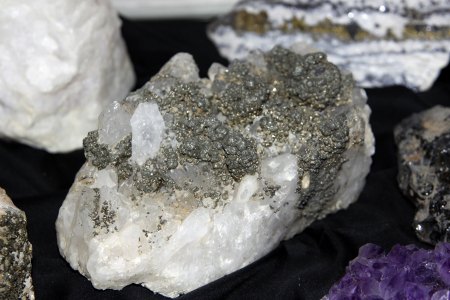 _MG_6556.JPG