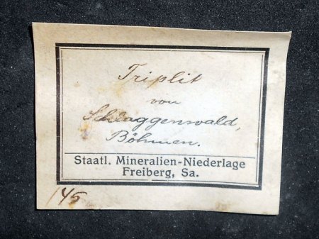 RSCN9649.jpg