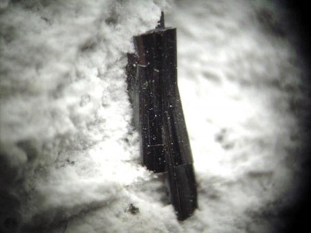 Pseudobrookit xx_Thomas Range_Juab Co._Utah_Peter_MM_2.JPG
