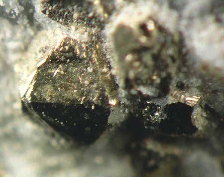 Pyrit xx_BB 6mm_Bärensteinbruch_Bad Harzburg_Radautal_Harz_Nds._Eigenfund 0694_Peter.jpg