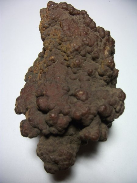 DSCF2244.JPG