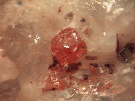 Rhodolith x Mischkristall Almandin-Pyrop_Granat-Gruppe_BB 4mm_Beruwala_Westküste Sri Lanka_Asien_Eigenfund 0685_Peter.jpg