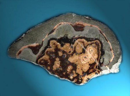 Schalenblende_Schlesien_Peter.jpg