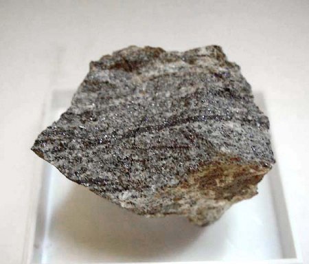 _Celsian weiße Bänder_Magnetit_Pyrit_KS-Größe_Grube König David_Lößnitz bei Aue_Erzgebirge_Sachsen_Peter.jpg