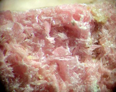 _Karyopilit auf Rhodonit xx_MM-Ausschnitt aus KS_Gambatesa Mine_Val Graveglia_Genua_Italien_Peter_2.jpg