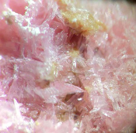 _Karyopilit auf Rhodonit xx_MM-Ausschnitt aus KS_Gambatesa Mine_Val Graveglia_Genua_Italien_Peter_1.jpg