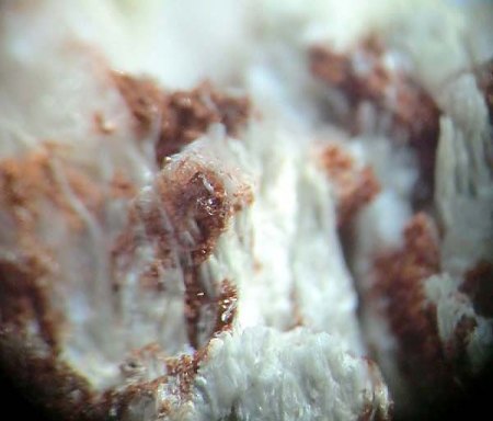 _Ruizit xx rotbraun_Klinoenstatit weiß fasrig_MM-Ausschnitt aus KS_Cornwall Minen_Cornwall_Lebanon Co._Pennsylvania_USA_Peter_1.jpg