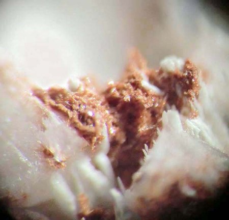 _Ruizit xx rotbraun_Klinoenstatit weiß fasrig_MM-Ausschnitt aus KS_Cornwall Minen_Cornwall_Lebanon Co._Pennsylvania_USA_Peter_3b.jpg