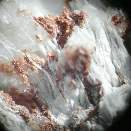 _Ruizit xx rotbraun_Klinoenstatit weiß fasrig_MM-Ausschnitt aus KS_Cornwall Minen_Cornwall_Lebanon Co._Pennsylvania_USA_Peter_3a.jpg