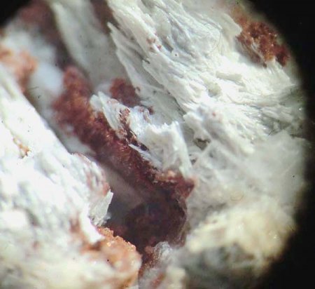 _Ruizit xx rotbraun_Klinoenstatit weiß fasrig_MM-Ausschnitt aus KS_Cornwall Minen_Cornwall_Lebanon Co._Pennsylvania_USA_Peter_2.jpg