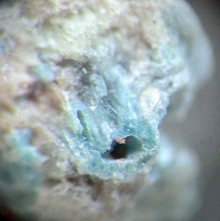 _Vermuteter Chrysokoll blau_MM-Ausschnitt aus KS_Cornwall Minen_Cornwall_Lebanon Co._Pennsylvania_USA_Peter_2.jpg