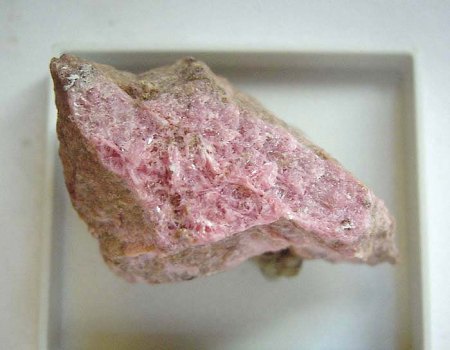 _Karyopilit auf Rhodonit xx_KS_Gambatesa Mine_Val Graveglia_Genua_Italien_Peter_1a.jpg