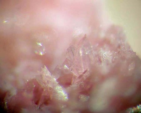 _Rhodonit xx_MM-Ausschnitt aus KS_Gambatesa Mine_Val Graveglia_Genua_Italien_Peter.jpg