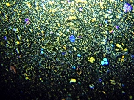 RSCN9856.jpg