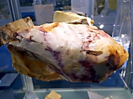Opal Raumberghof Sammlung MeierRSCN9853.JPG