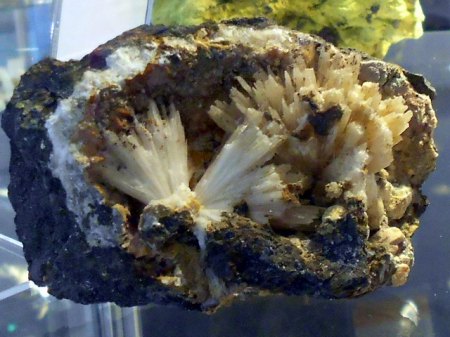 Natrolith Hirschentanz Sammlung MeierRSCN9866.JPG