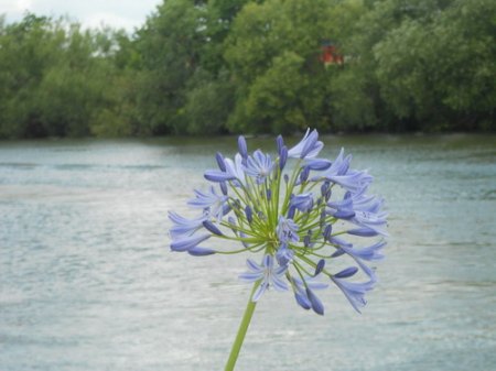 DSCN6757.jpg