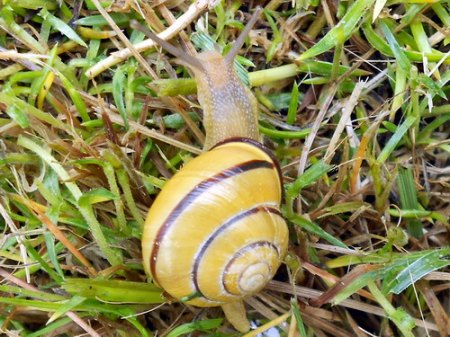 RSCN9318.jpg