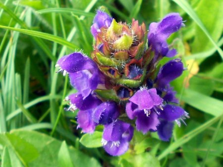 RSCN0401.jpg