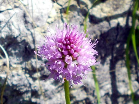 RSCN0386.jpg