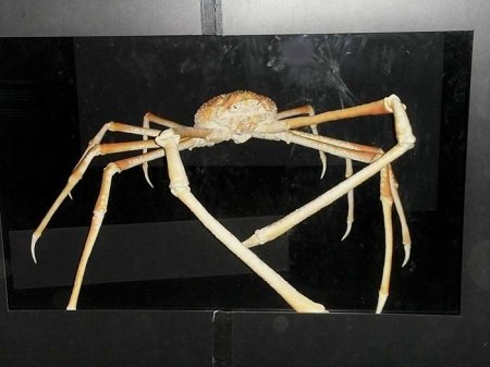 Vorsicht bissig III.JPG