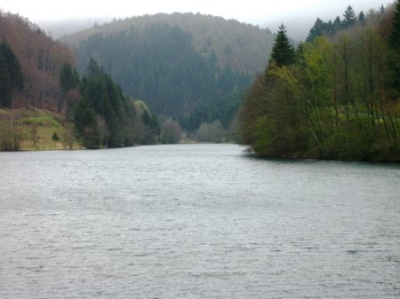 Das Vorstaubecken.JPG