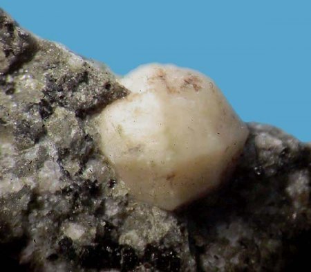 _Leucit x_BB 6 mm_Eichberg_Oberrottweil_Kaiserstuhl_Peter.jpg