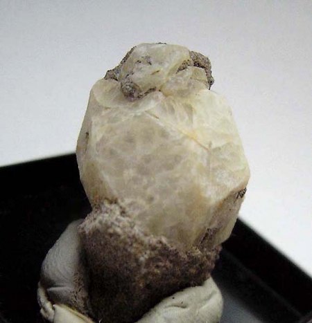 _Leucit xx_Roccamonfina Vulkan Komplex_Caserta Prov._Campania_Italien_Peter_1a.jpg