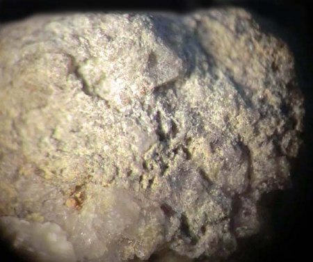 _Tetrarooseveltit erdig_Kapsel-MM_Moldava_Dubi_Erzgeb._Usti Reg._Böhmen_Tschech. Rep._Peter.jpg