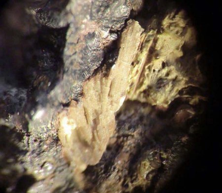 _Allanpringit xx_Kakoxen xx_BB 6 mm_Grube Mark_Essershausen_Wetzlar_Hessen_Peter_1c.jpg