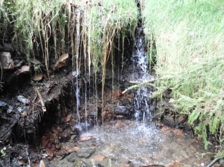 Kleiner Wasserfall des Burgbach.JPG