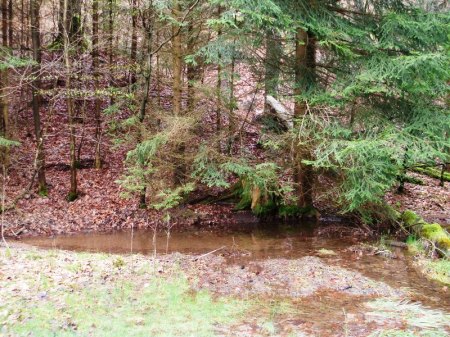 Halderfuß der Kupfergrube mit Burgbach.JPG