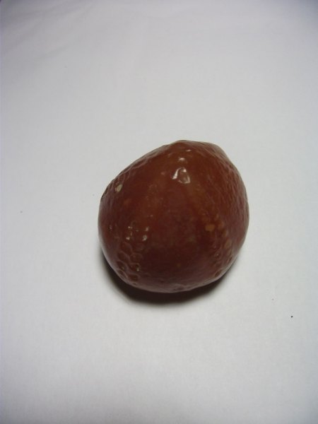 DSCF2315.JPG