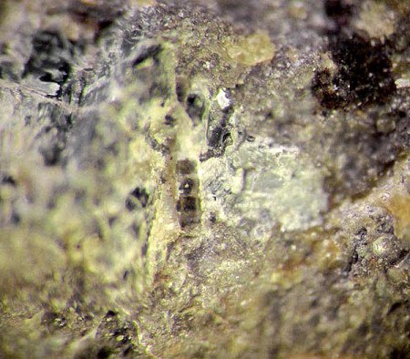 _Hydroxylapatit x röntgenanalysiert_MM_Eigenfund_Schwarze Steinkaut_Erbsenacker_Wiesbaden-Naurod_Peter.jpg