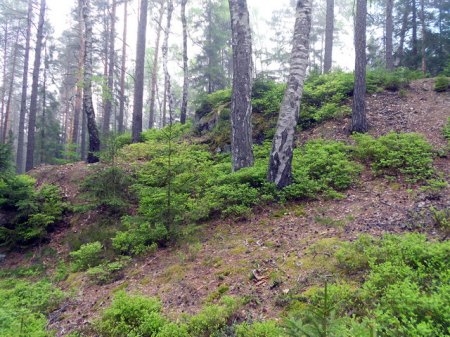 Grube BayerlandDSCN1759.JPG