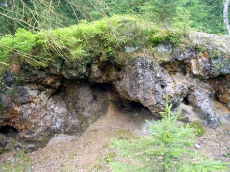 Grube BayerlandDSCN1763.JPG
