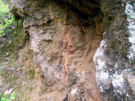 Grube BayerlandDSCN1778.JPG