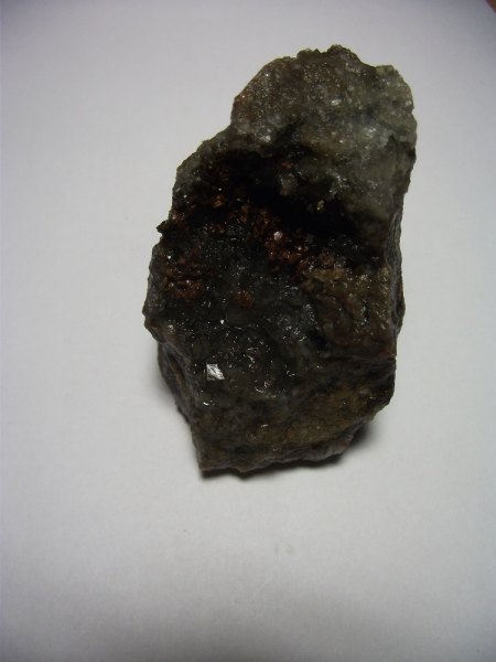 DSCF2352.JPG