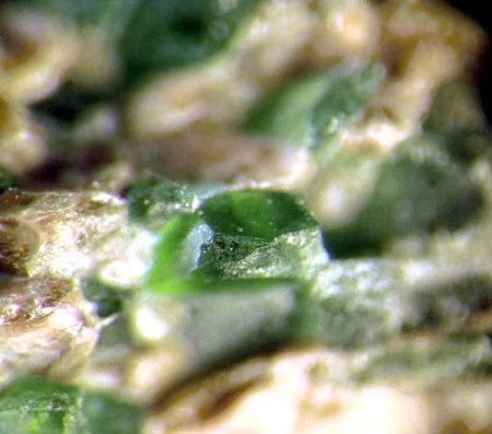 _Chromdiopsid x röntgenanalysiert_MM_Eigenfund_Schwarze Steinkaut_Erbsenacker_Wiesbaden-Naurod_Peter.jpg