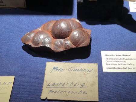 _Bad Ems_Mineralienbörse_Sonderschau Harzer Klassiker_Hämatit Roter Glaskopf_hist. Stück_Knollengrube_Bad Lauterberg_3.5.14_Peter.JPG