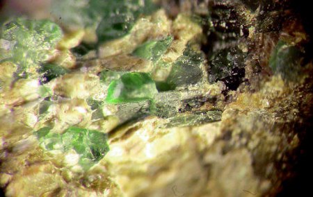 _Chromdiopsid xx röntgenanalysiert_MM_Eigenfund_Schwarze Steinkaut_Erbsenacker_Wiesbaden-Naurod_Peter_1a.jpg