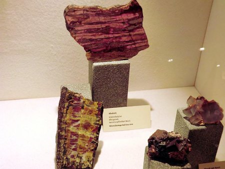 _Bad Ems_Mineralienbörse_Sonderschau Harzer Klassiker_Rhodonite_Schävenholz Elbingerode_3.5.14_Peter.JPG
