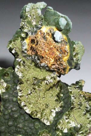 Chalkopyrit in Ferropumpellyit.JPG