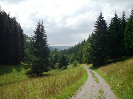 ein wunderschönes Tal im Thüringer Wald.JPG